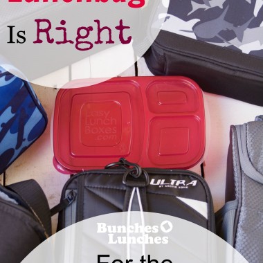 ELB Which Lunch Bag is Right for You? from bunchesolunches.com